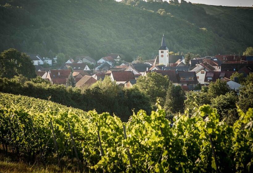 פנסיון Schmidtburger Hof