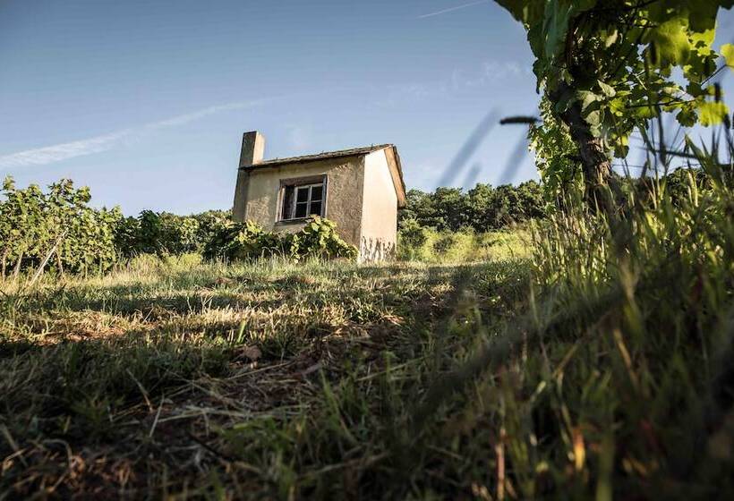 פנסיון Schmidtburger Hof