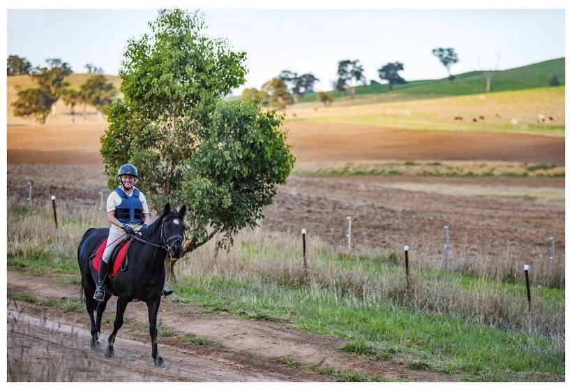 膳宿费 Yea Cabin Bunkhouse