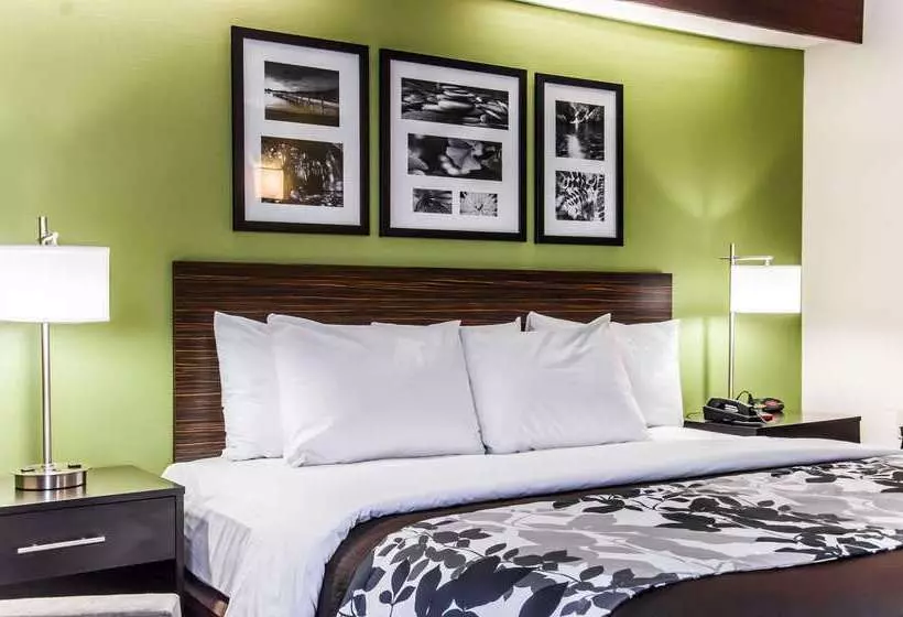 ホテル Sleep Inn Airport Billy Graham Parkway