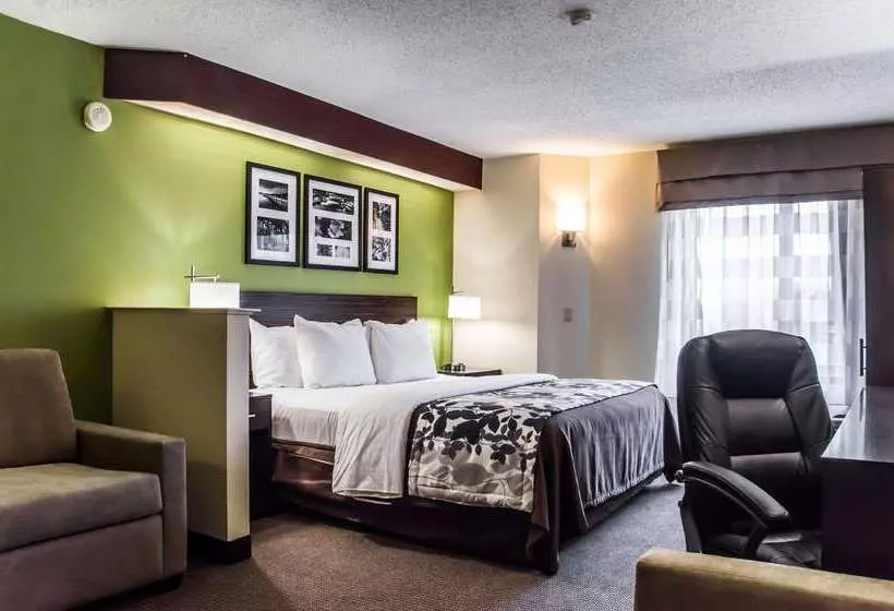 ホテル Sleep Inn Airport Billy Graham Parkway