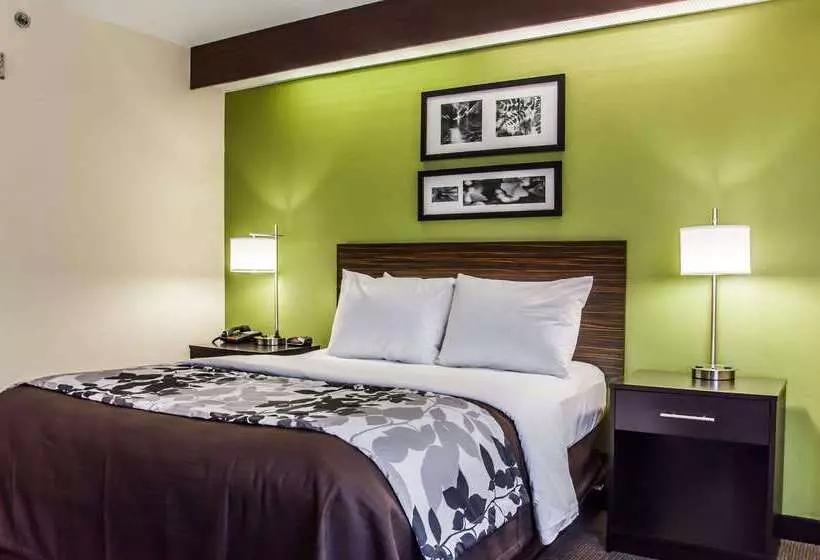 ホテル Sleep Inn Airport Billy Graham Parkway
