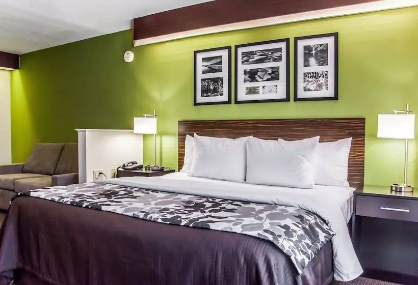 ホテル Sleep Inn Airport Billy Graham Parkway