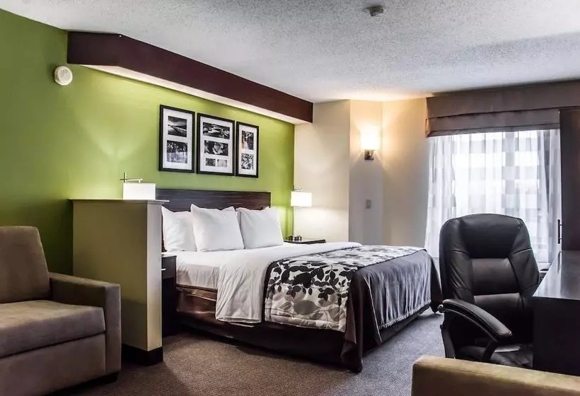 ホテル Sleep Inn Airport Billy Graham Parkway