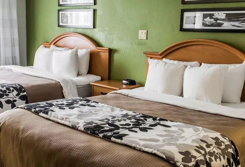酒店 Sleep Inn Slidell