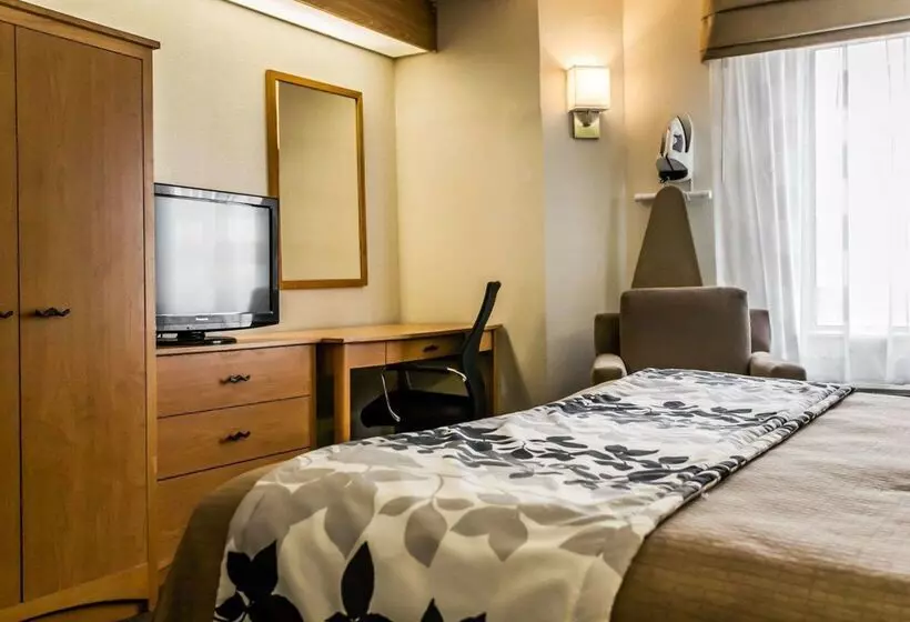 酒店 Sleep Inn Slidell