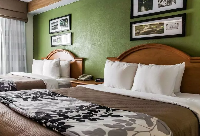 酒店 Sleep Inn Slidell