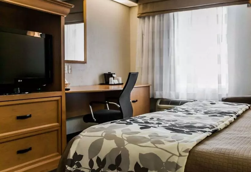 酒店 Sleep Inn Slidell