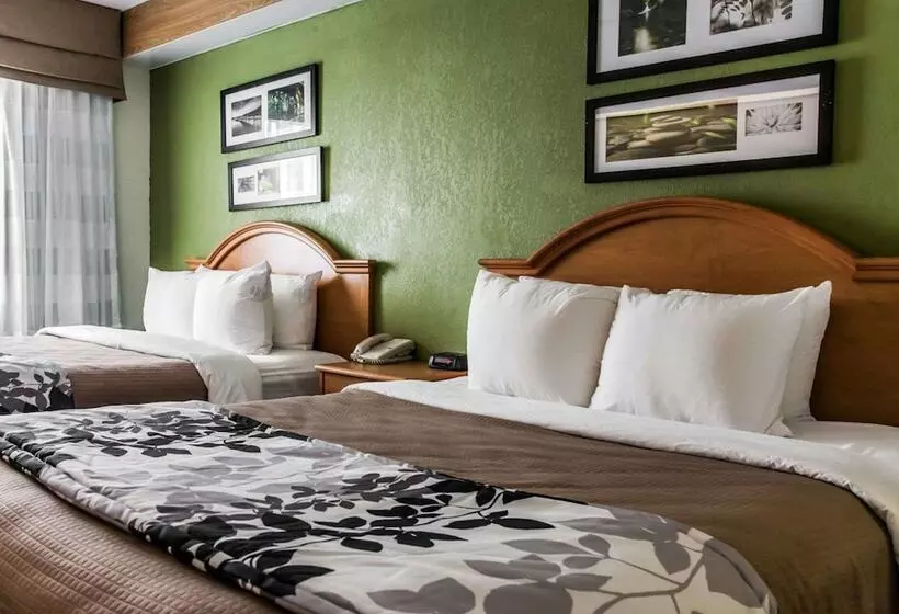 酒店 Sleep Inn Slidell