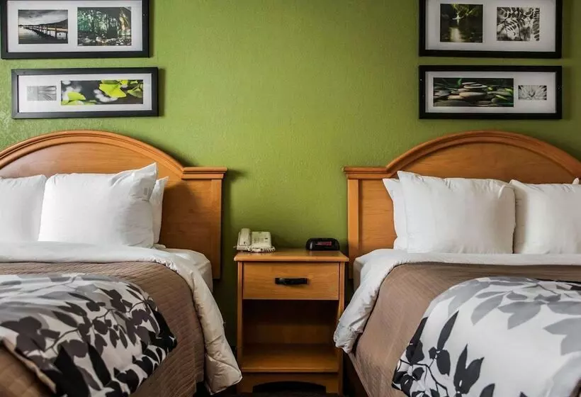 酒店 Sleep Inn Slidell