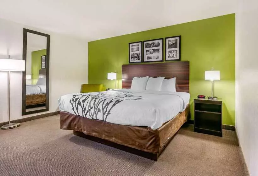 Отель Sleep Inn & Suites Near Sports World Blvd