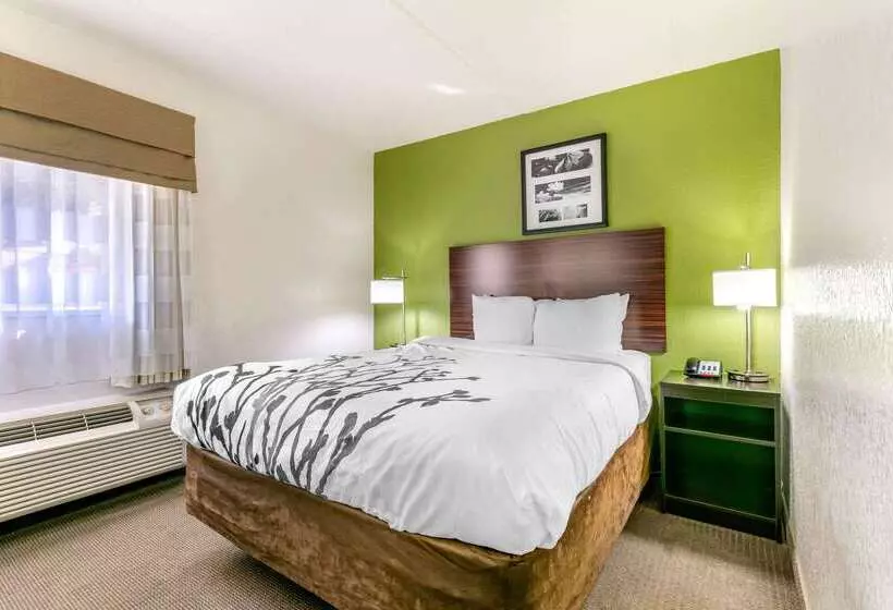 Отель Sleep Inn & Suites Near Sports World Blvd