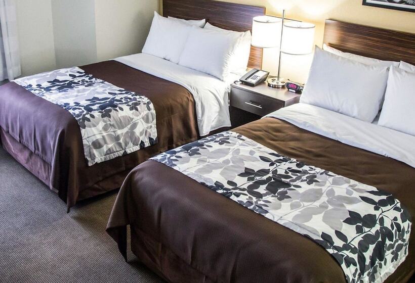 호텔 Sleep Inn Tinley Park I80 Near Amphitheatreconvention Center