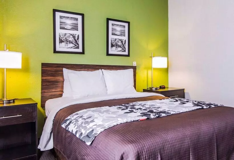 בית מלון כפרי Sleep Inn Walterboro I95