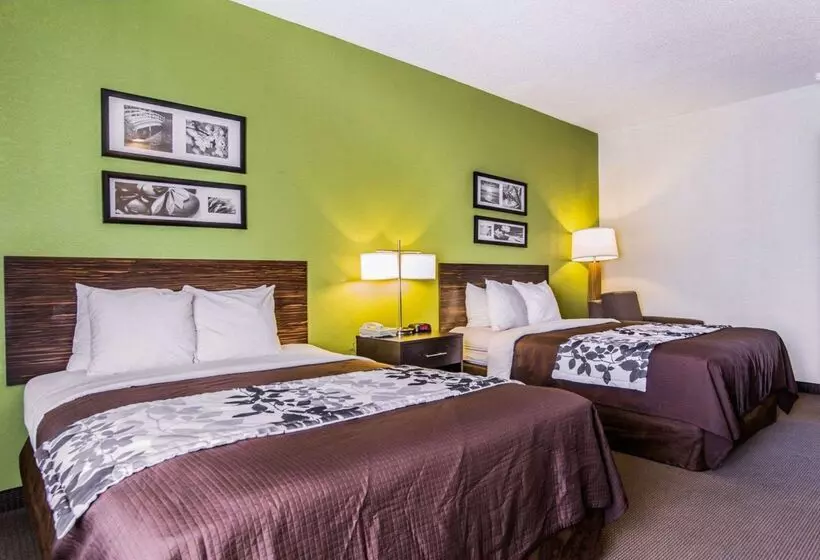 בית מלון כפרי Sleep Inn Walterboro I95