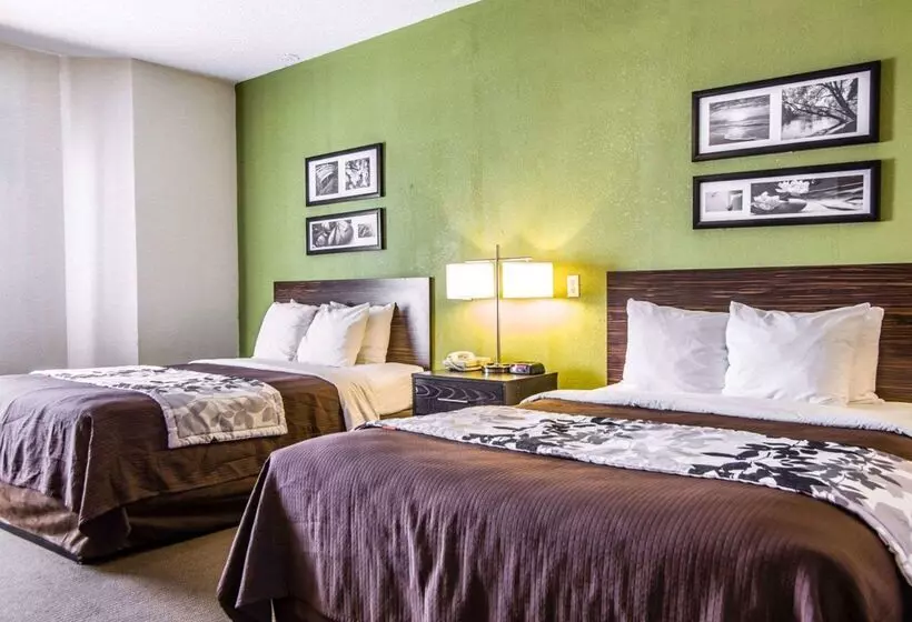 בית מלון כפרי Sleep Inn Walterboro I95