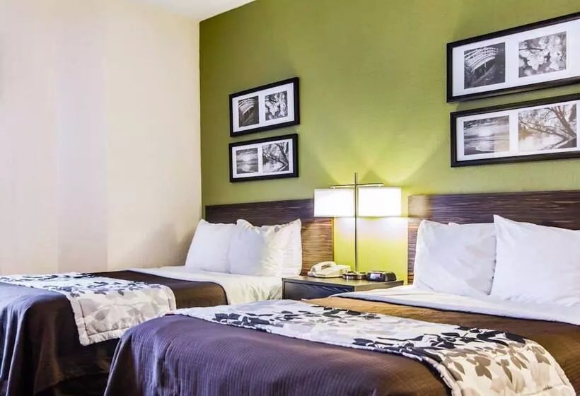 בית מלון כפרי Sleep Inn Walterboro I95