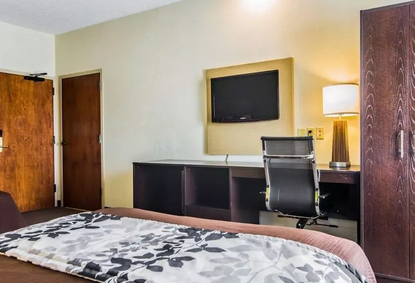 בית מלון כפרי Sleep Inn Walterboro I95