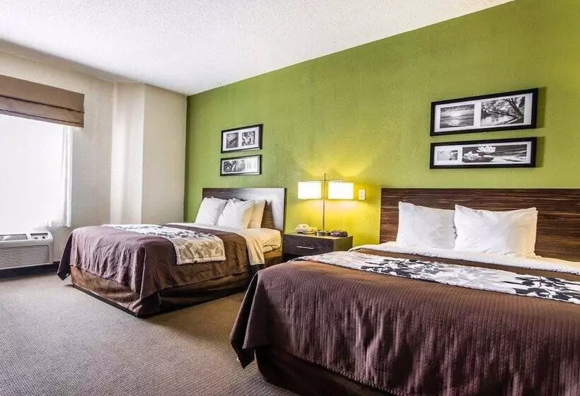 בית מלון כפרי Sleep Inn Walterboro I95