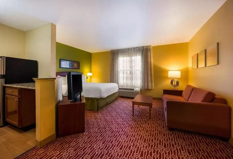 Otel Sonesta Simply Suites Detroit Novi