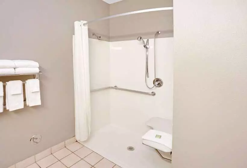 酒店 Super 8 By Wyndham South Bend