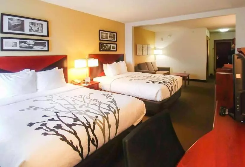 酒店 Wingate By Wyndham Dublin Near Claytor Lake State Park