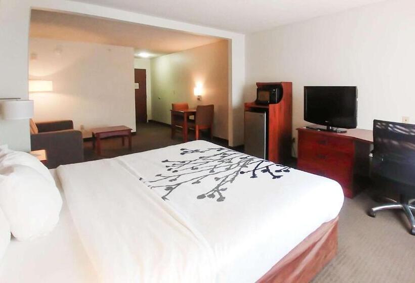 酒店 Wingate By Wyndham Dublin Near Claytor Lake State Park