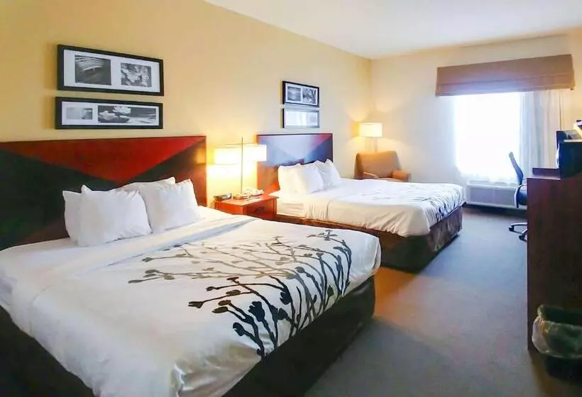 酒店 Wingate By Wyndham Dublin Near Claytor Lake State Park