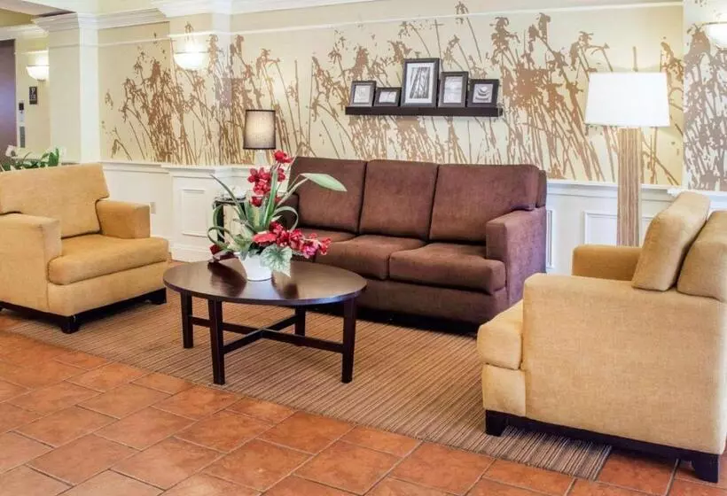 酒店 Wingate By Wyndham Dublin Near Claytor Lake State Park