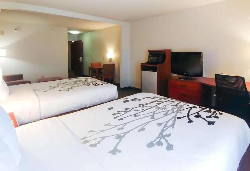 酒店 Wingate By Wyndham Dublin Near Claytor Lake State Park