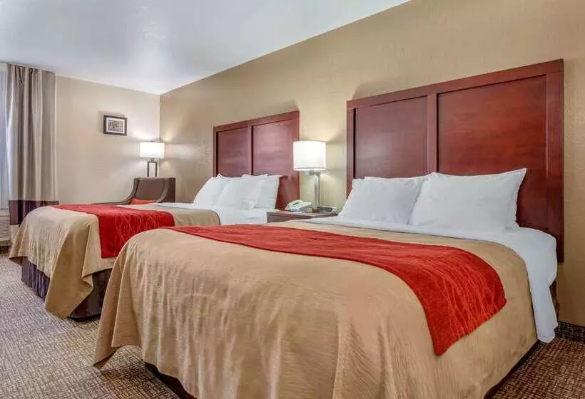 מוטל Comfort Inn