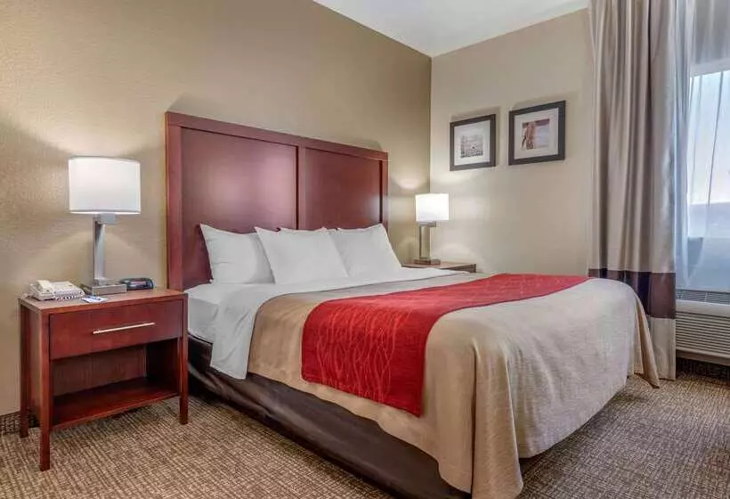 מוטל Comfort Inn