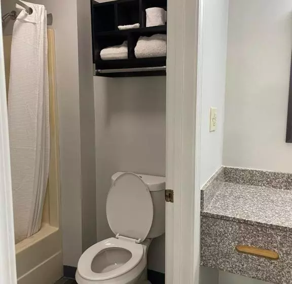 Мотель Griffin Inn & Suites