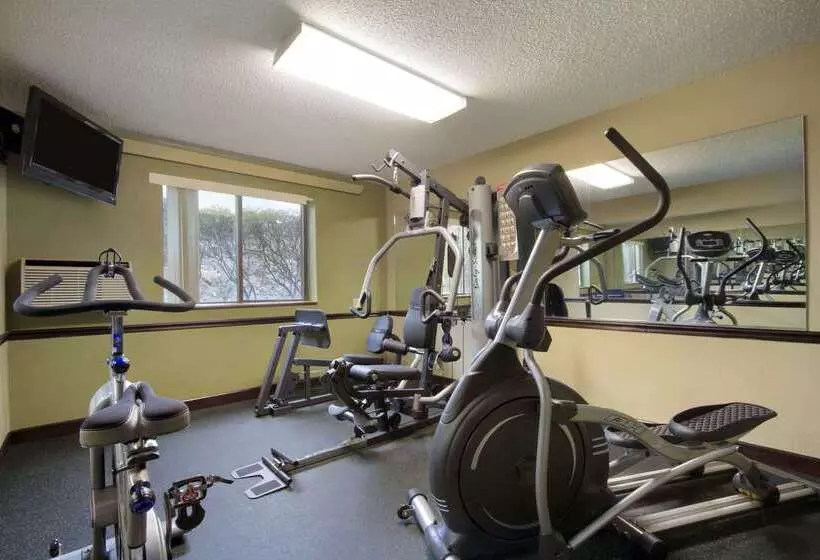 מוטל Super 8 By Wyndham Homewood Birmingham Area