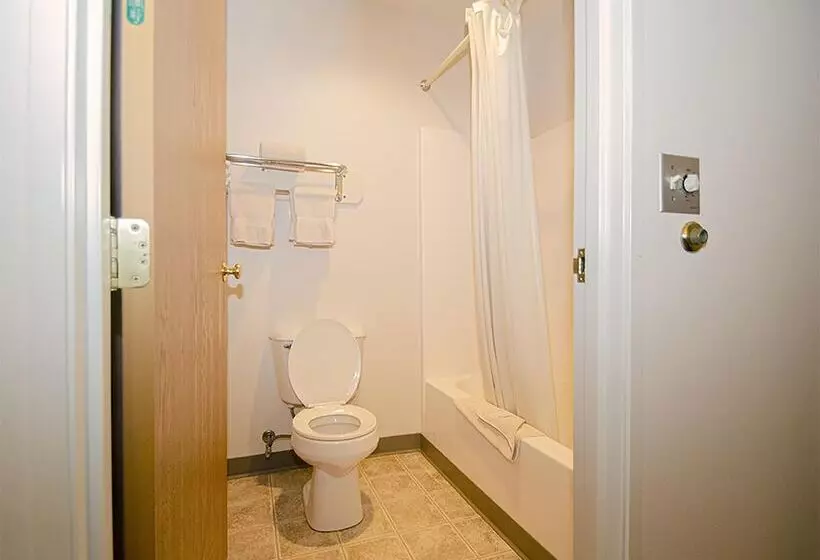 汽车旅馆  Urbana Inn & Suites