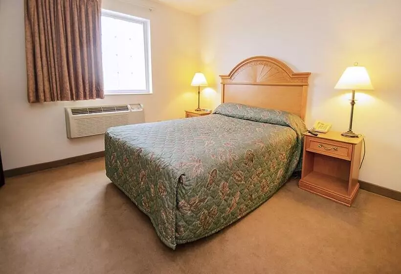 汽车旅馆  Urbana Inn & Suites