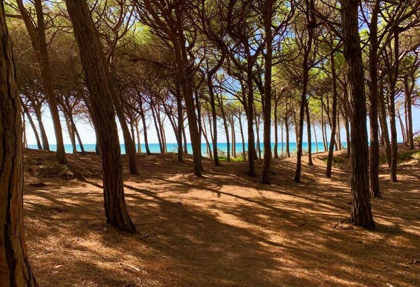 مبيت وإفطار Casa Cerboneschi