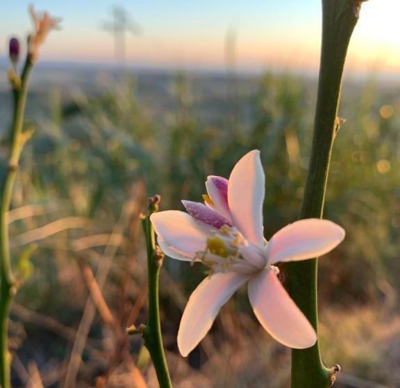 مبيت وإفطار Casa Cerboneschi
