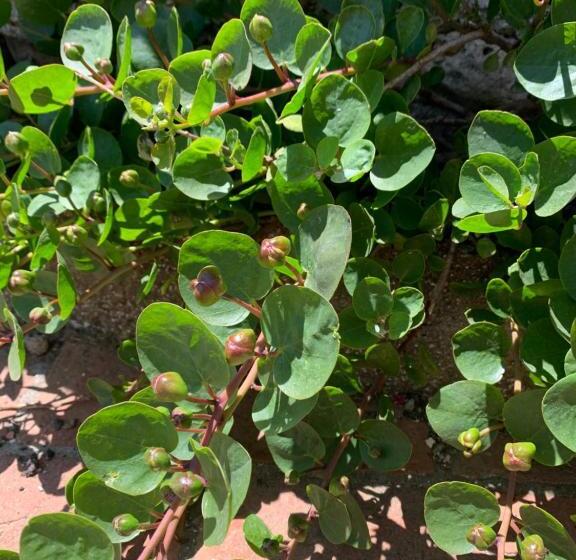 مبيت وإفطار Casa Cerboneschi