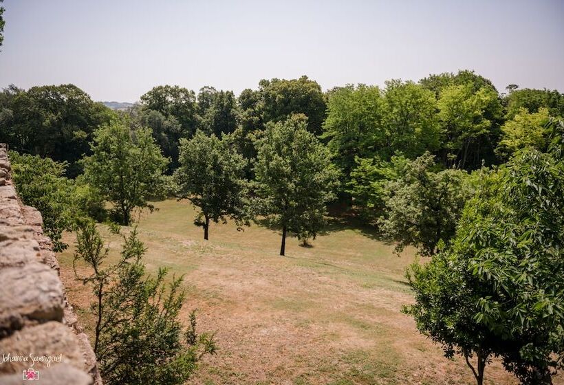 住宿加早餐  Château De L Hers