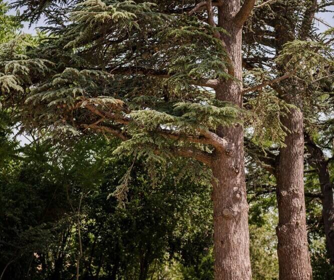 住宿加早餐  Château De L Hers