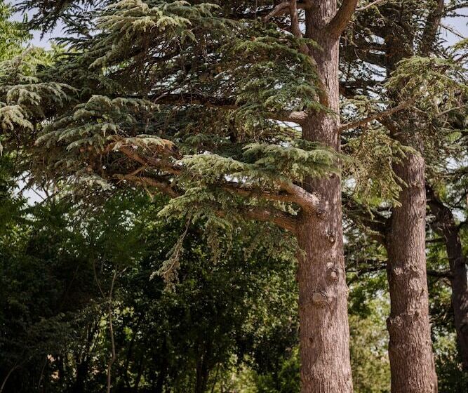 住宿加早餐  Château De L Hers