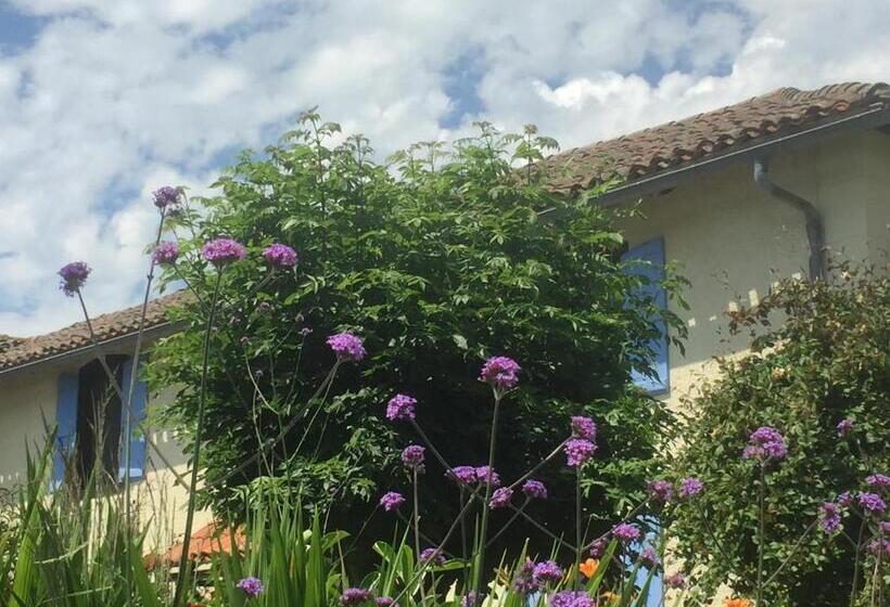 Bed and Breakfast Michouat Chambre D Hotes