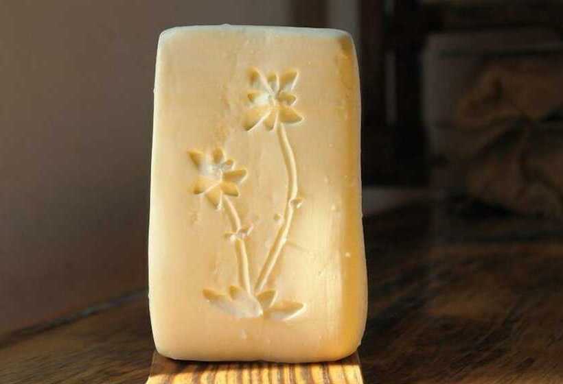 פונדק Pradibosco Agrituristico