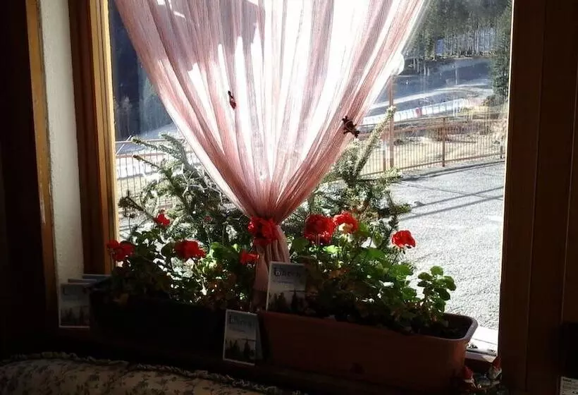 Hostelli Pradibosco Agrituristico