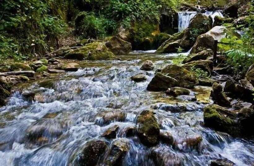 פונדק Pradibosco Agrituristico