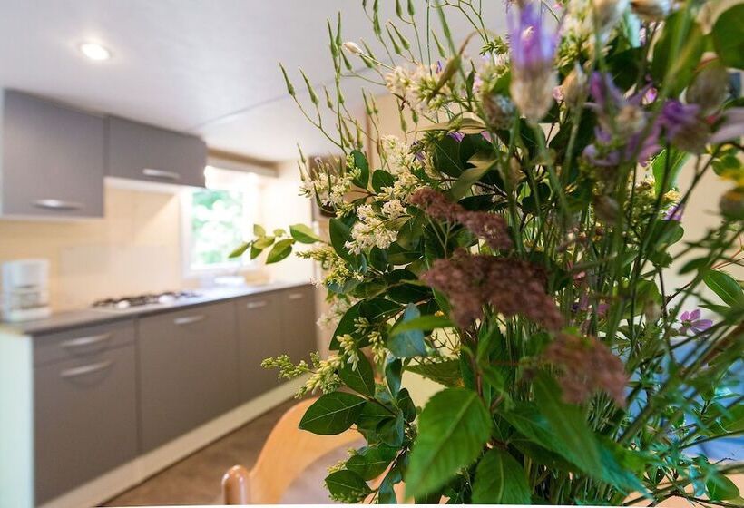 ホテル Camping De La Muse