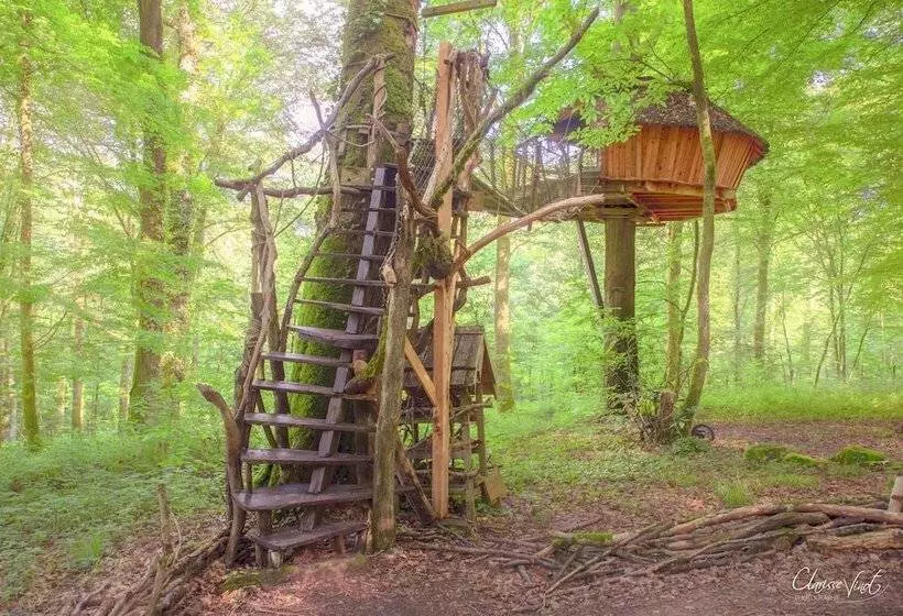 Hotelli L'arbre à Cabane