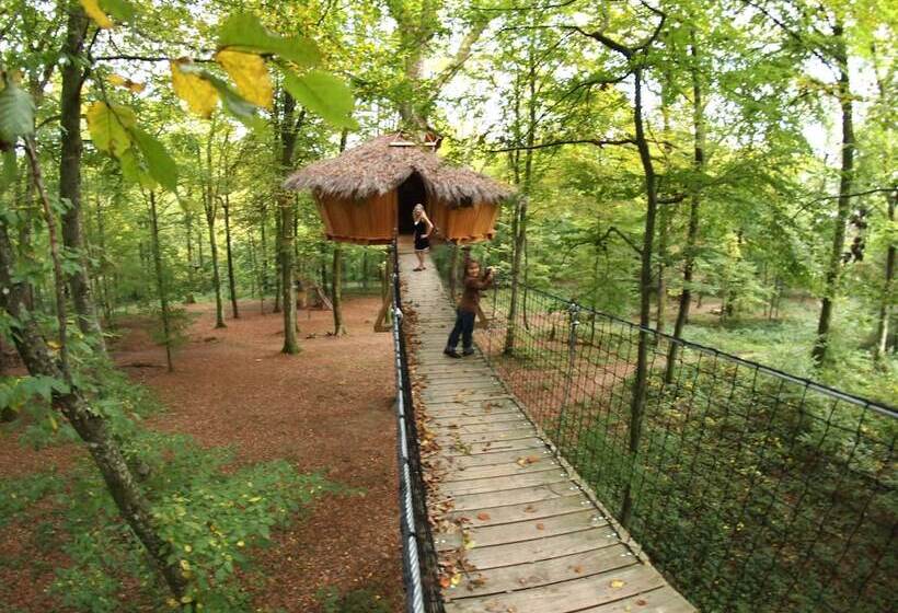 בית מלון כפרי L'arbre à Cabane