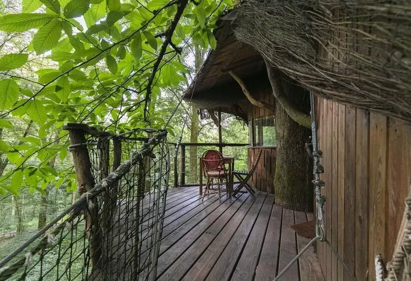 Hotelli L'arbre à Cabane